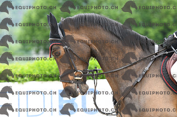 BEA_7727.JPG