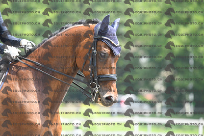 BEA_3433.JPG