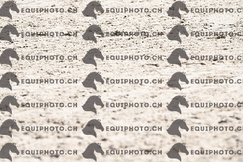 BEA_3581.JPG