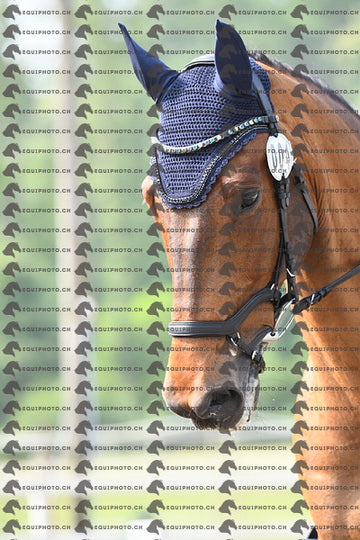 BEA_1476.JPG