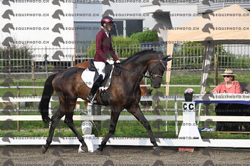 BEA_0270.JPG