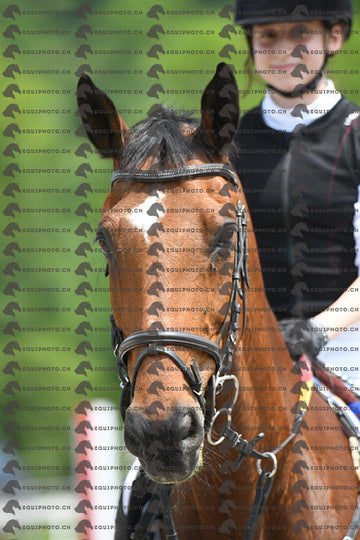 BEA_9951.JPG