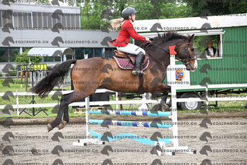 BEA_6079.JPG