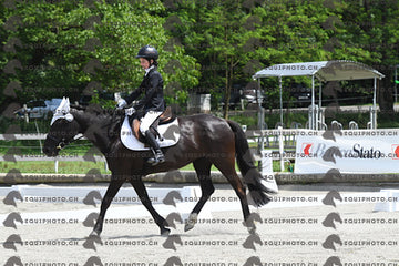 BEA_8580.JPG