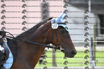BEA_8663.JPG
