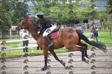 BEA_6633.JPG
