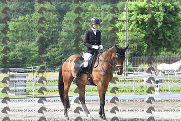 BEA_1647.JPG