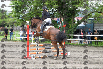BEA_6815.JPG