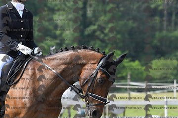 BEA_1595.JPG