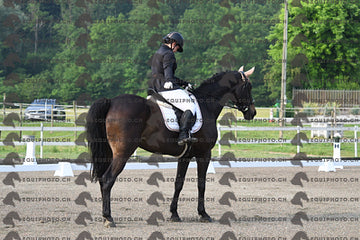 BEA_0348.JPG