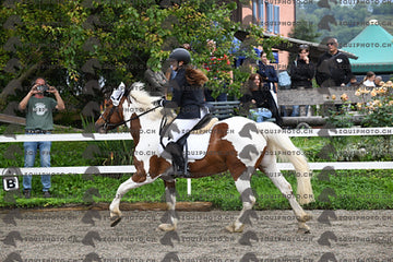 BEA_6102.JPG