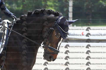 BEA_3060.JPG