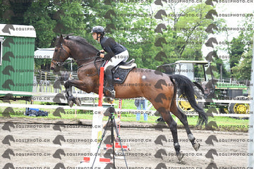 BEA_7803.JPG