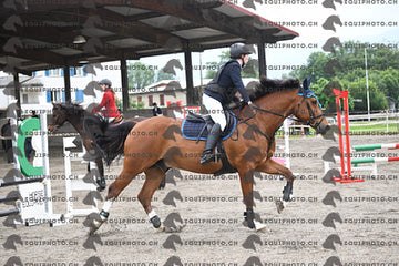 BEA_6049.JPG