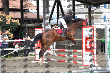 BEA_6997.JPG