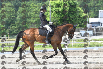 BEA_1638.JPG