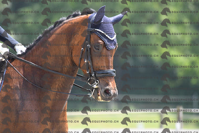 BEA_3387.JPG