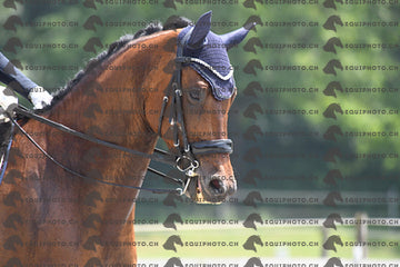 BEA_3387.JPG
