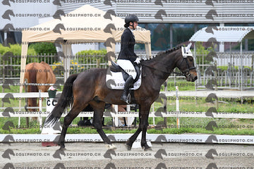 BEA_6017.JPG