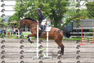 BEA_6315.JPG