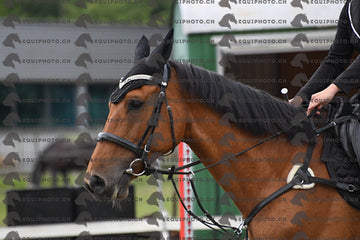BEA_7507.JPG