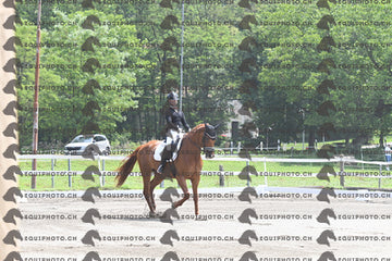 BEA_2929.JPG
