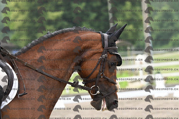 BEA_0886.JPG