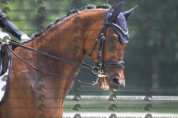 BEA_3388.JPG