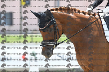BEA_2953.JPG