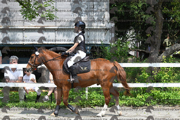 BEA_8881.JPG