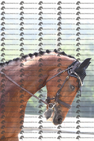BEA_1697.JPG