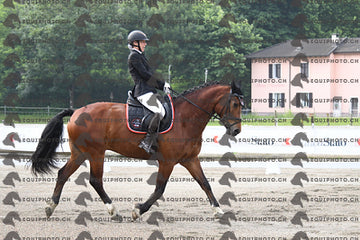 BEA_1020.JPG