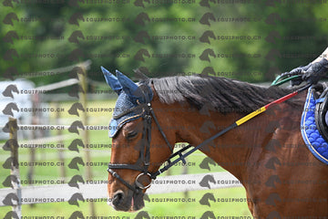 BEA_8383.JPG