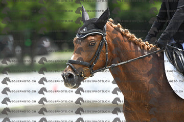 BEA_7745.JPG