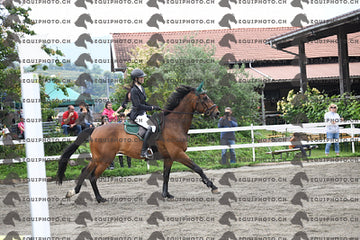 BEA_7864.JPG