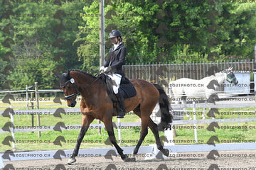 BEA_1643.JPG