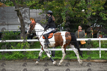 BEA_6904.JPG