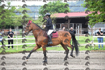 BEA_6563.JPG