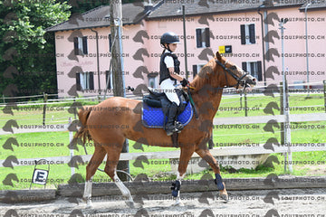 BEA_9626.JPG