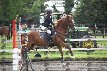 BEA_7715.JPG