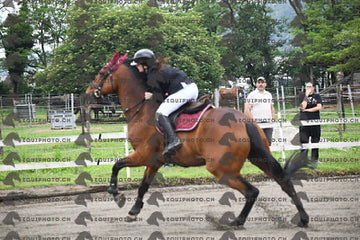 BEA_6634.JPG