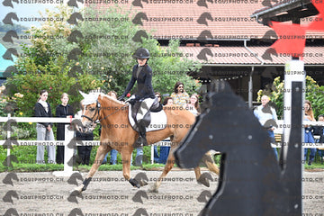 BEA_6127.JPG