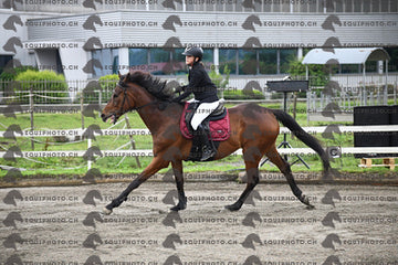 BEA_6687.JPG