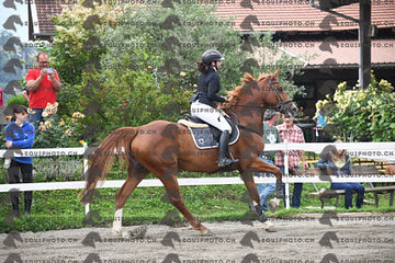 BEA_7719.JPG