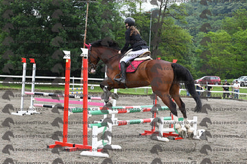 BEA_6985.JPG