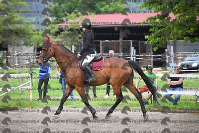 BEA_6531.JPG