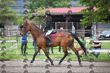 BEA_6531.JPG