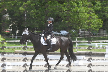 BEA_7764.JPG