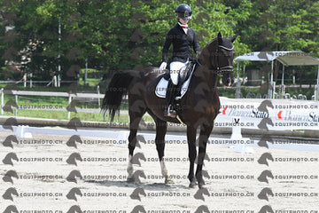 BEA_3503.JPG