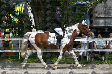 BEA_8477.JPG